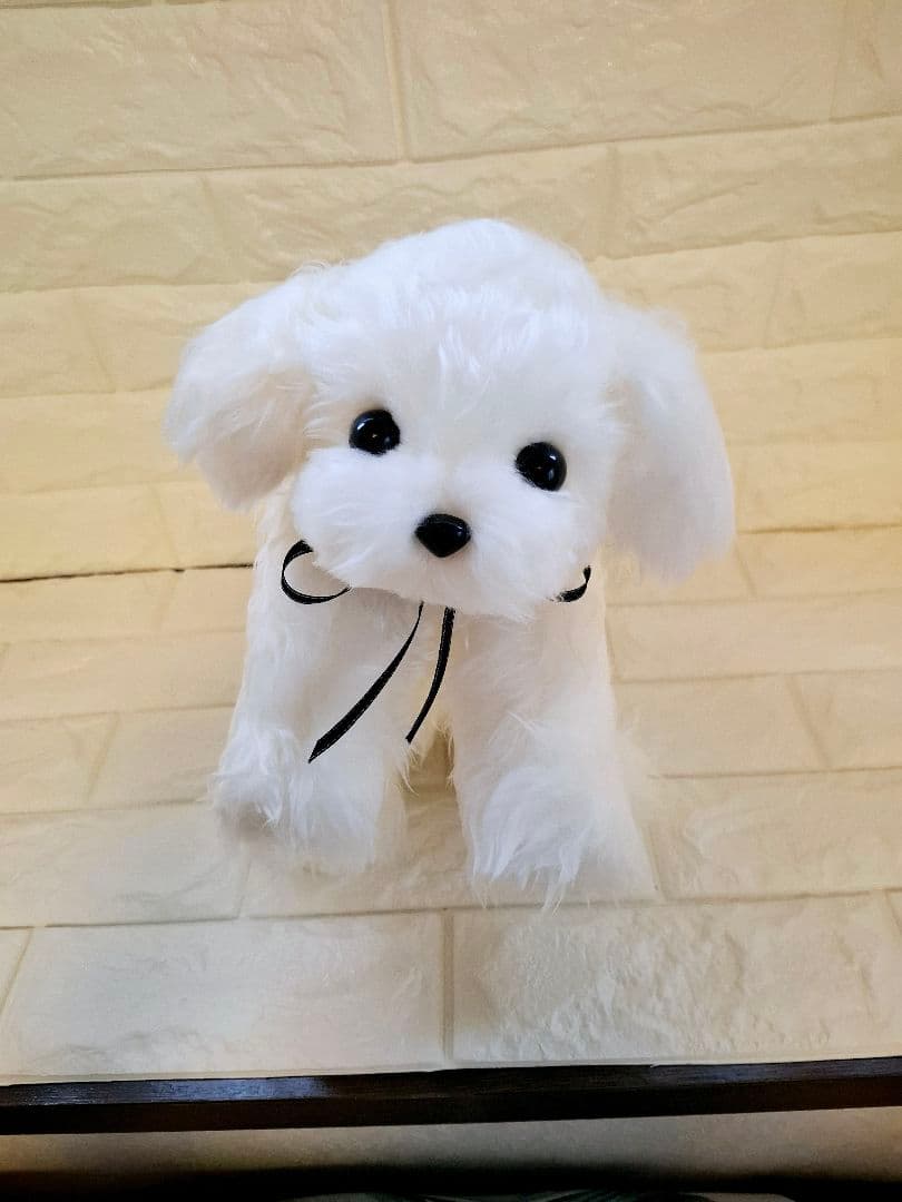 べりえちゃんさん専用、ぬいぐるみ、マルチーズ、犬、ハンドメイド、リアルサイズ