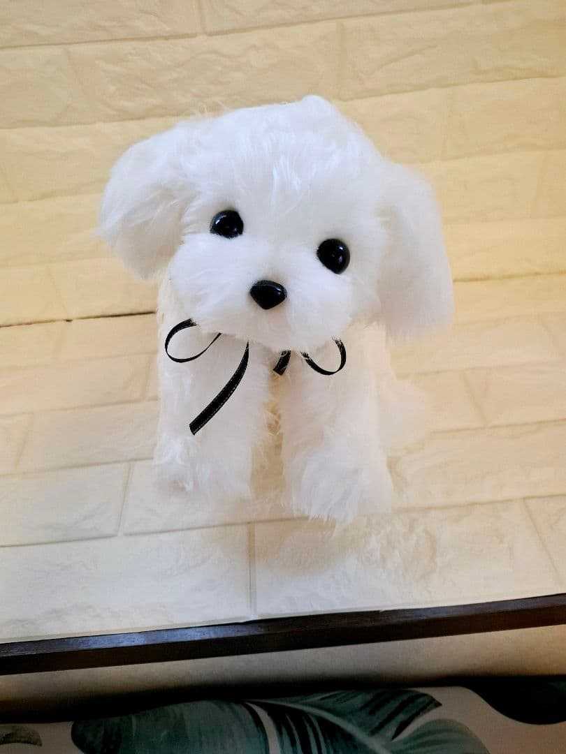 べりえちゃんさん専用、ぬいぐるみ、マルチーズ、犬、ハンドメイド、リアルサイズ