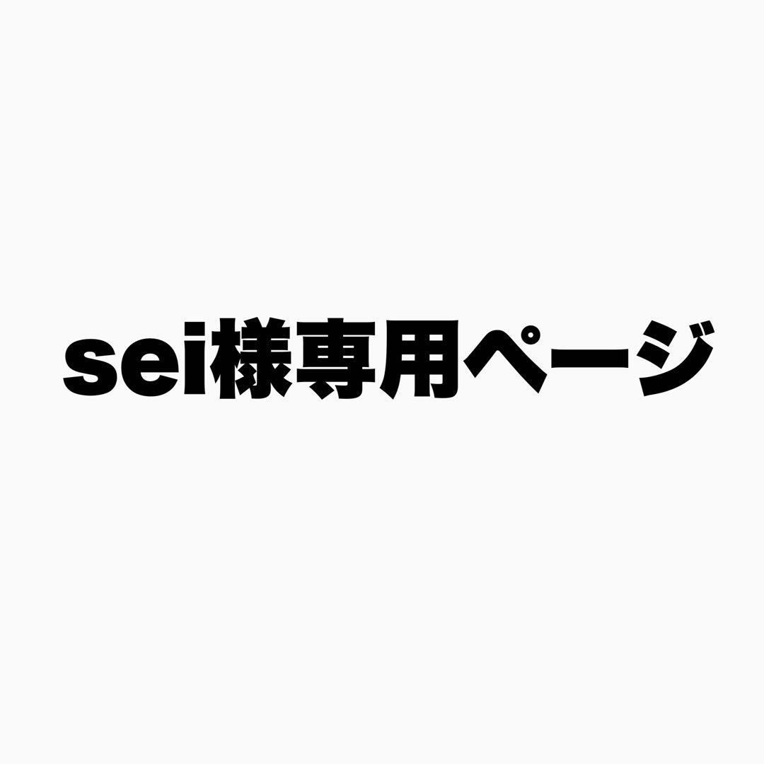 seiページ