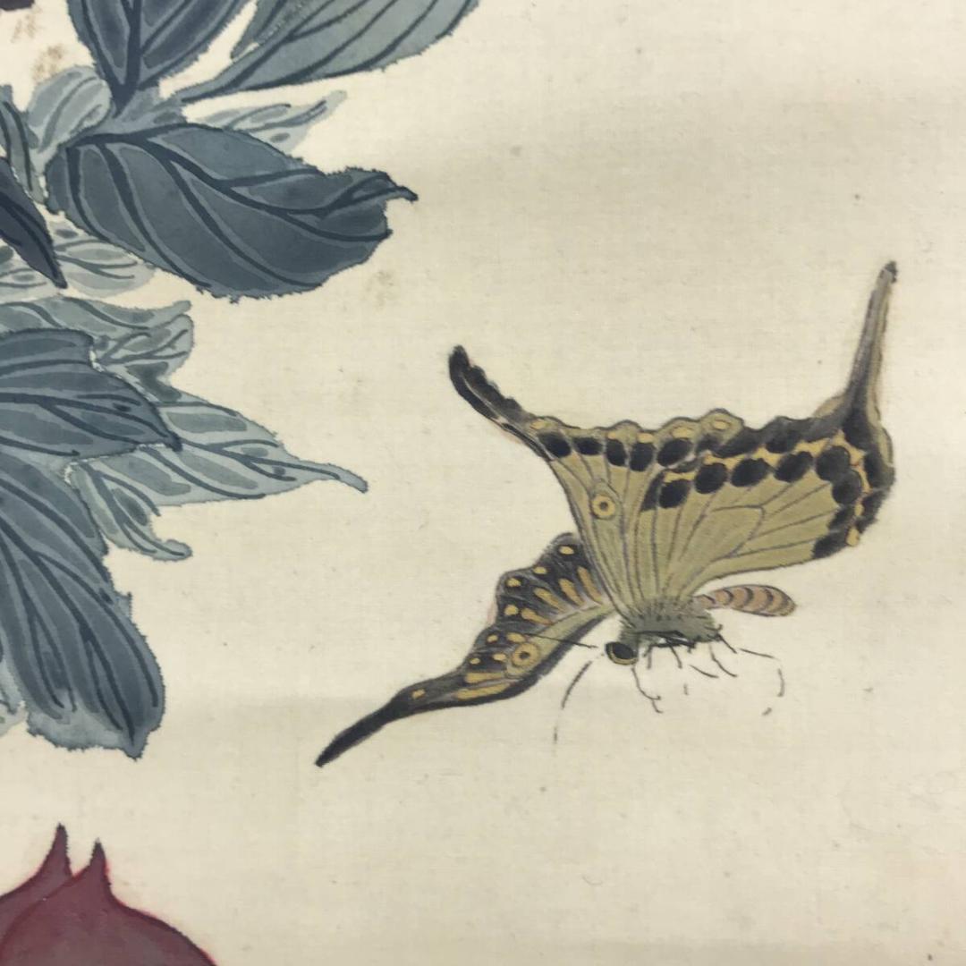 作者不詳/花鳥図/牡丹に蝶図/花図/掛軸☆宝船☆AH-658