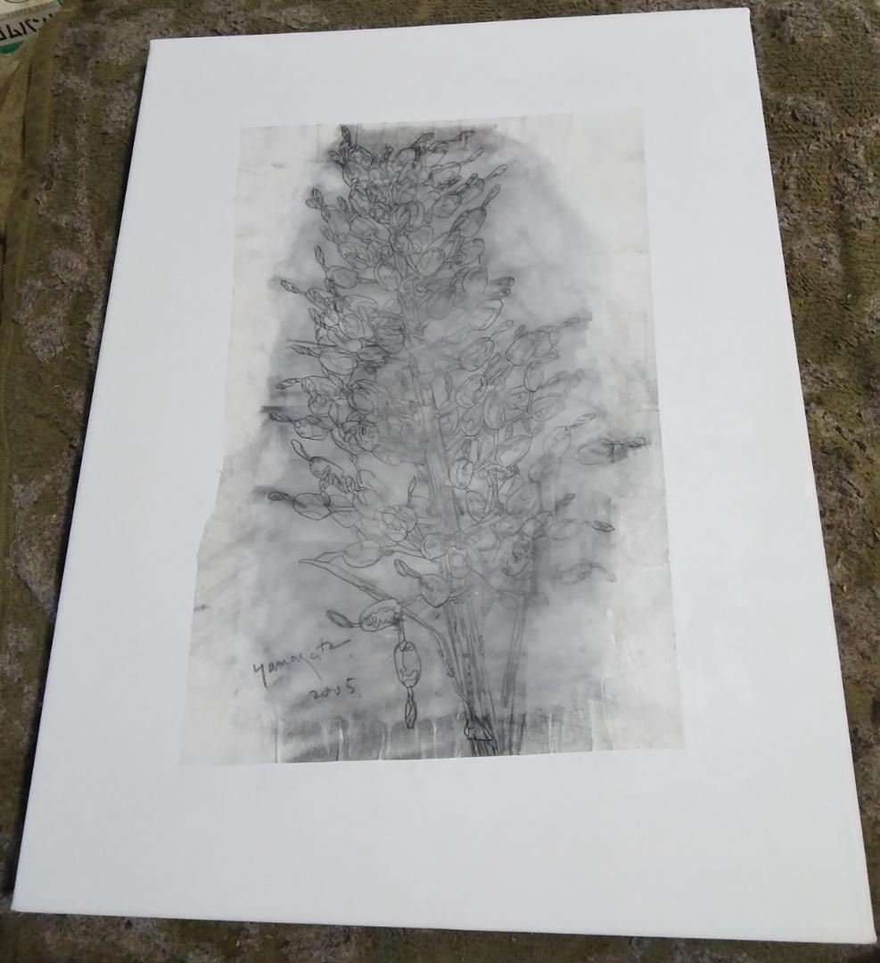 ヒロ・ヤマガタ植物直筆真作鉛筆木炭画ドローイング巨匠証明書あり額無しキャンバス