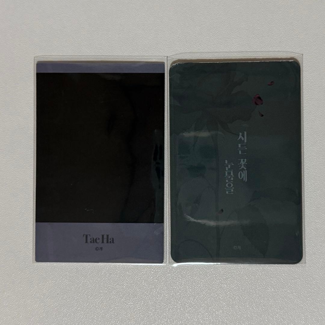 韓国漫画 枯れた花に涙を 特典カード