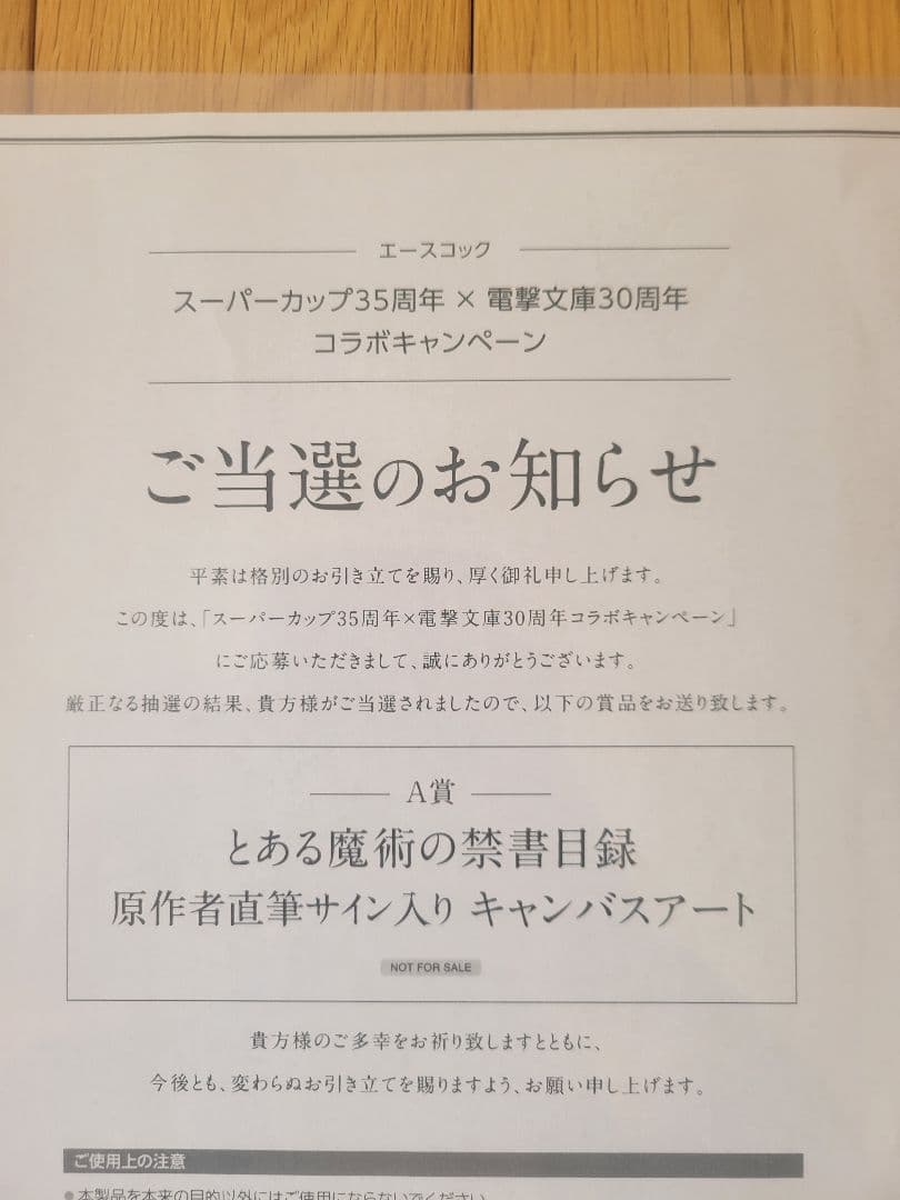 ス*中様 とある魔術の禁書目録 サイン入りキャンバスアート