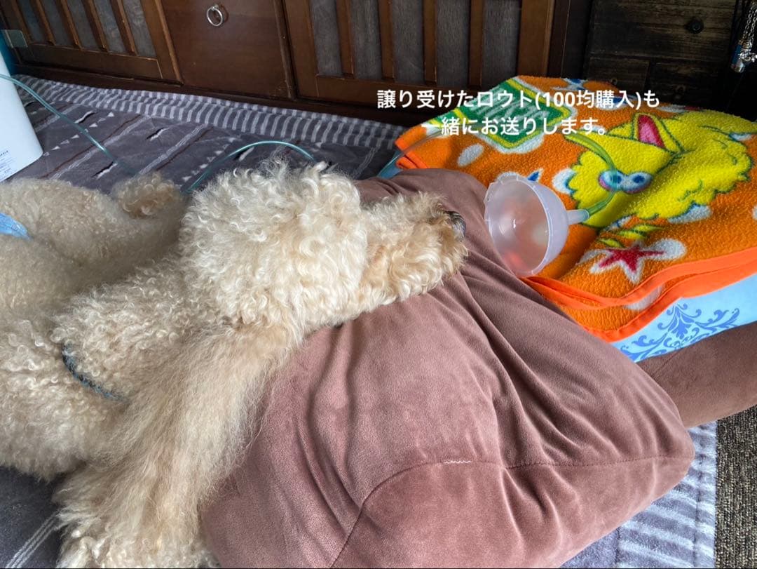 MEDRIS Medical製 家庭用酸素発生器JY-102W