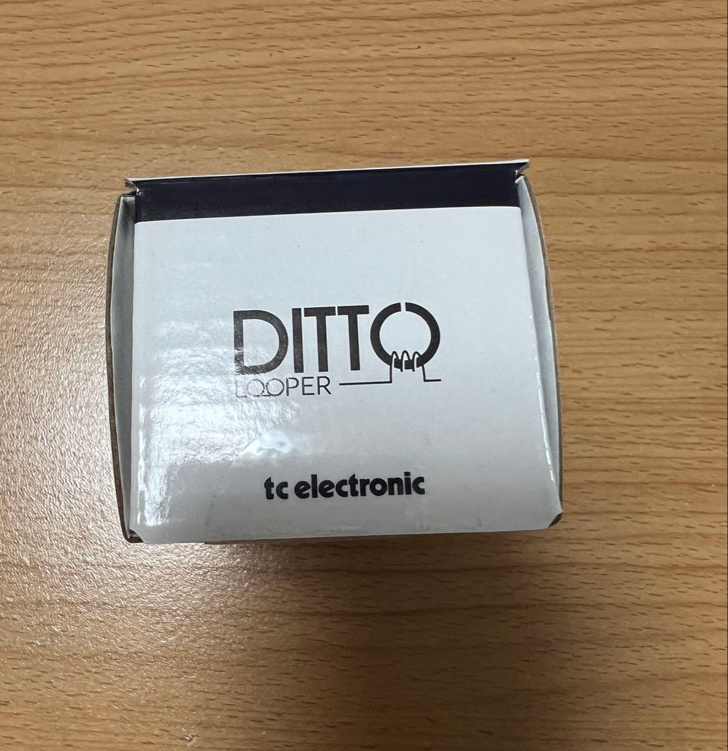 【新品・未開封】tc electronic DITTO LOOPER