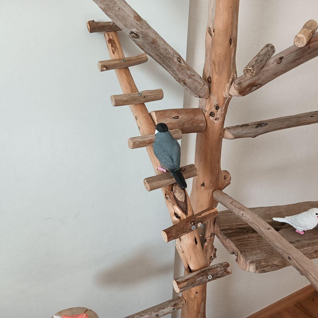 鳥羽 バードアスレチックジム大型 天然木 自然木 流木 インコ おもちゃ