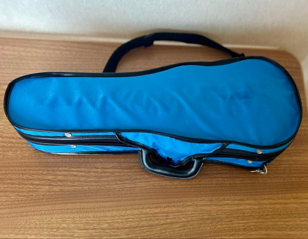 Jay Haideジェイハイダ　2014年 バイオリン 1/8 予備の弦付