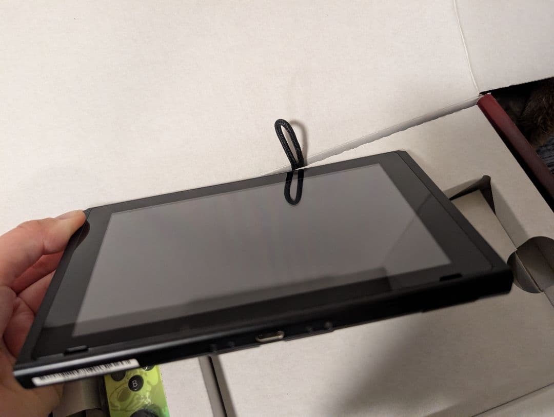 Nintendo Switch ジョイコンはスプラトゥーン