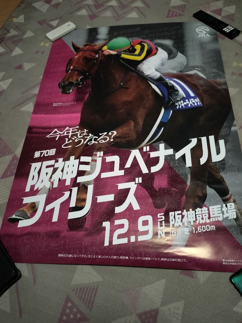 阪神ジュベナイルフィリーズ B1 ポスター ラッキーライラック 競馬 JRA