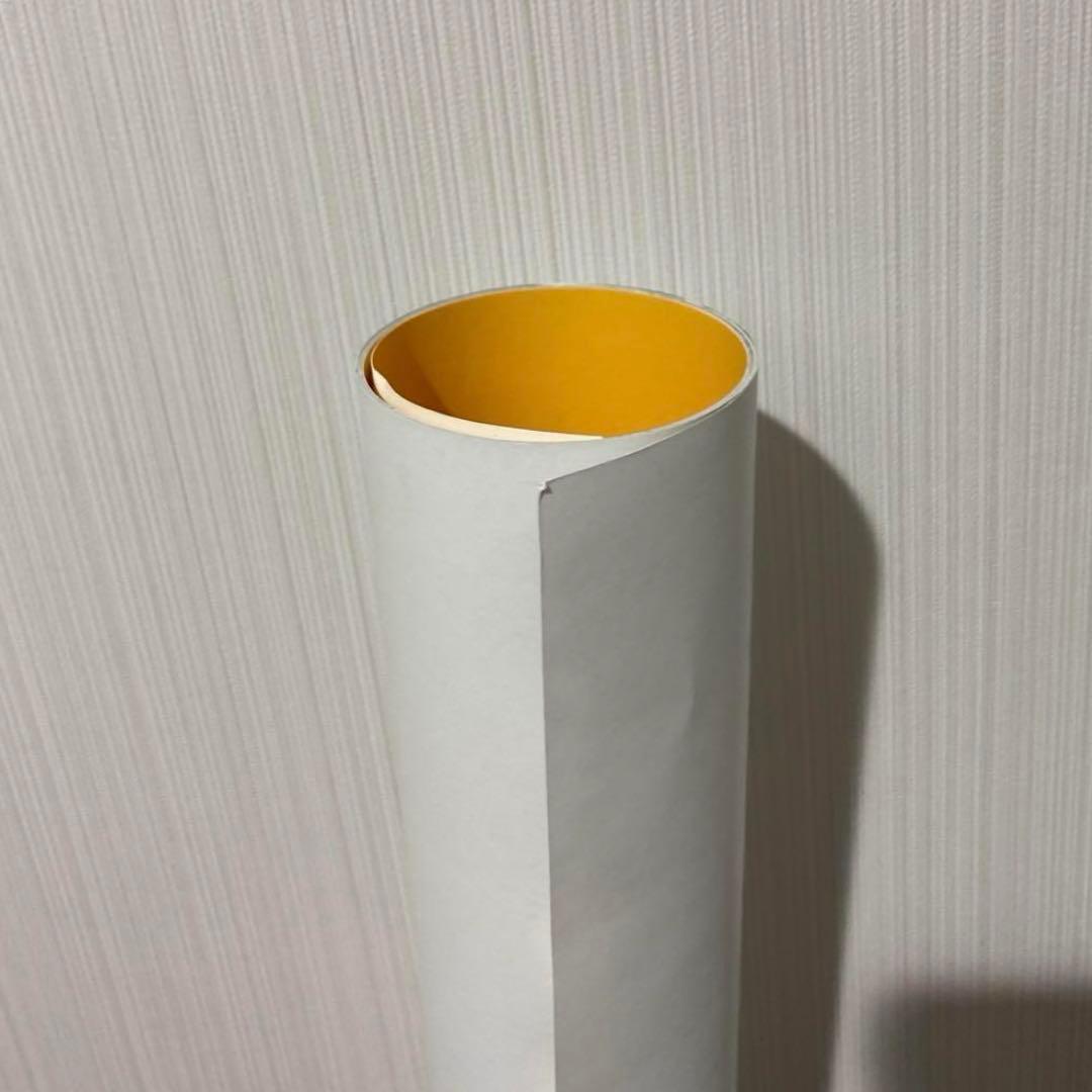 タワレコ NO MUSIC NO LIFE the LOW-ATUS ポスター