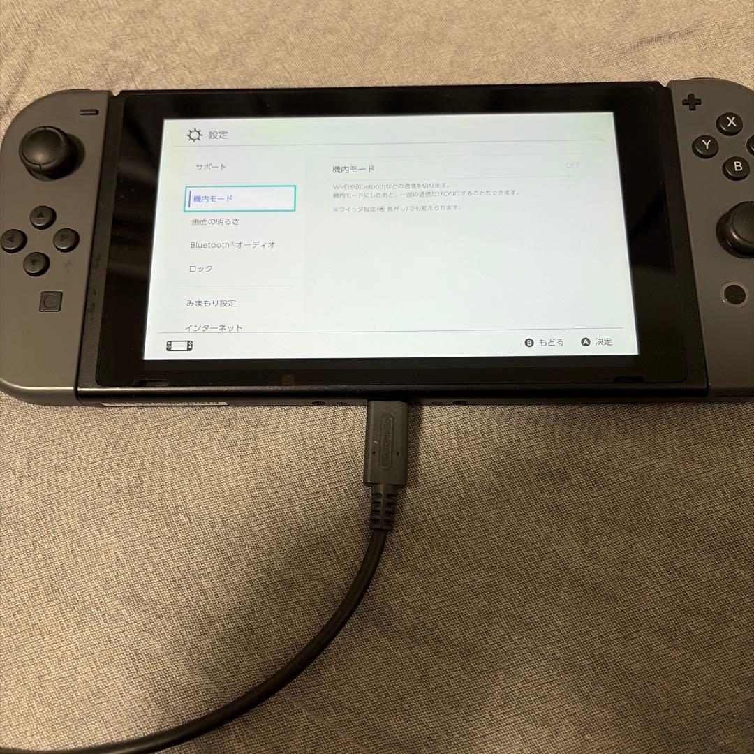 Nintendo Switch 本体 (説明をお読みください)