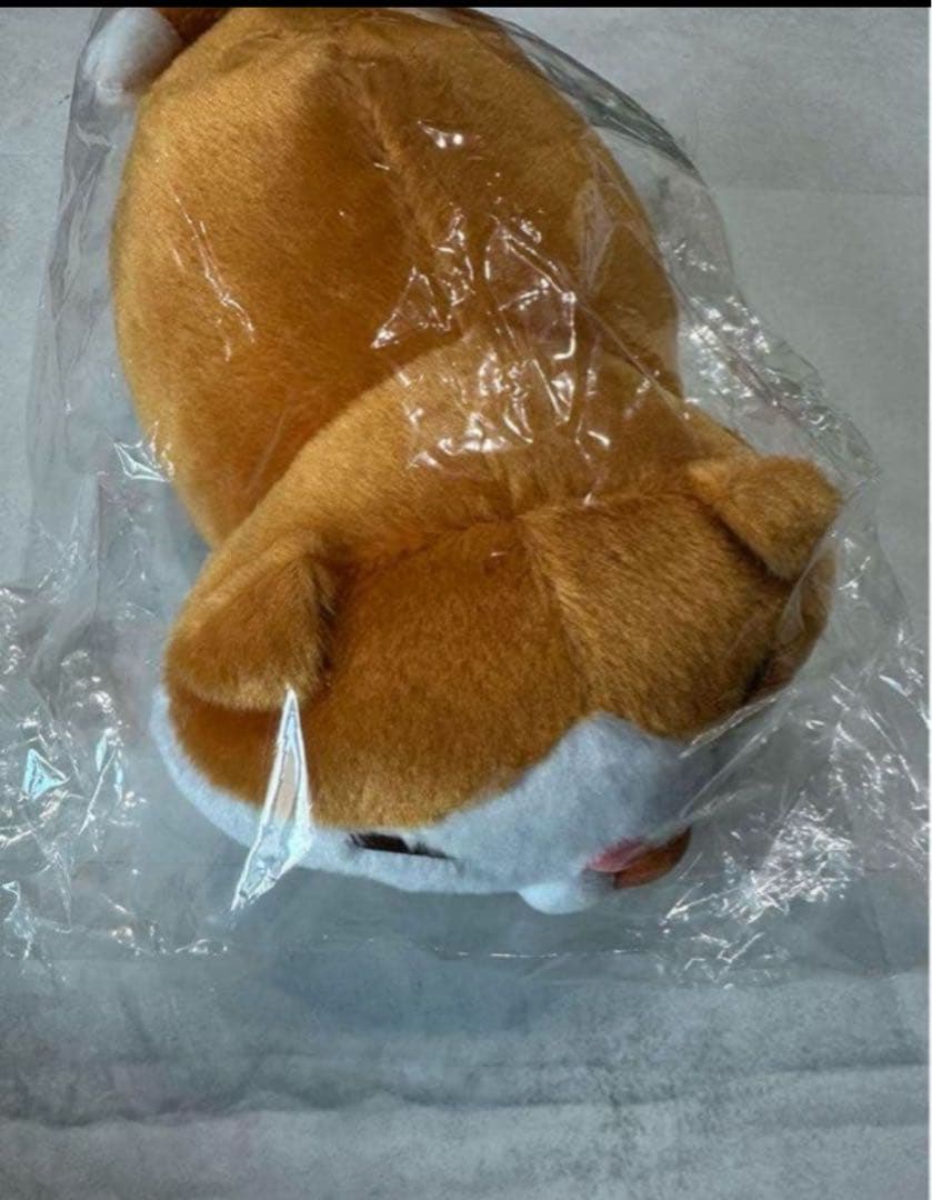 新品未開封　BUCK-TICK 櫻井敦司　まるちゃん　ぬいぐるみ