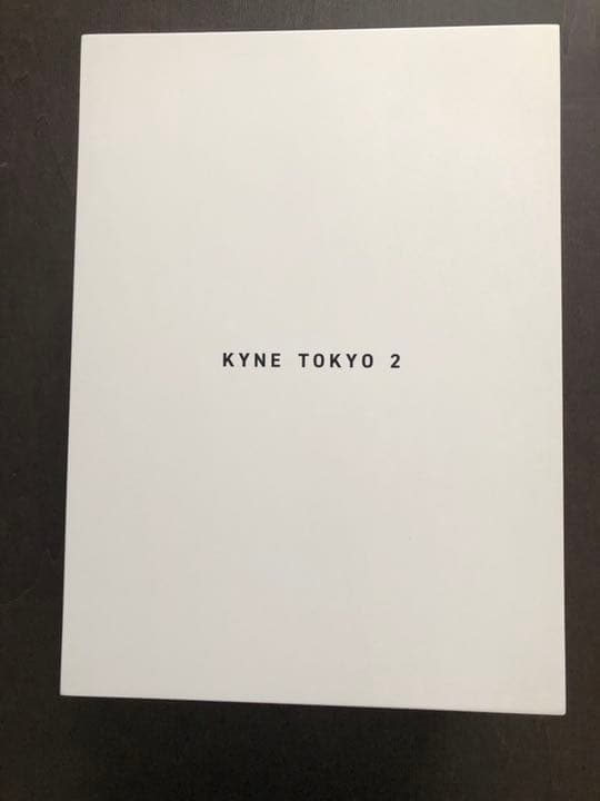 【kyne激レア立体作品】KYNE Untitled SAI シルクスクリーン