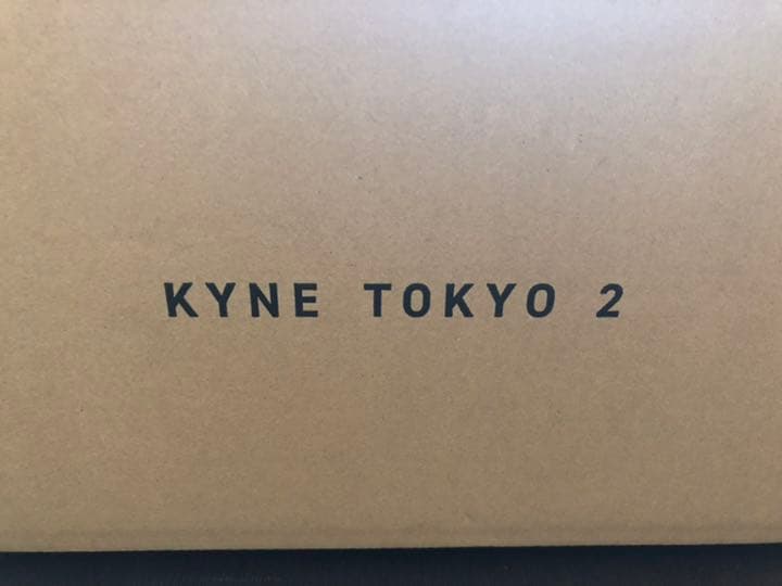 【kyne激レア立体作品】KYNE Untitled SAI シルクスクリーン