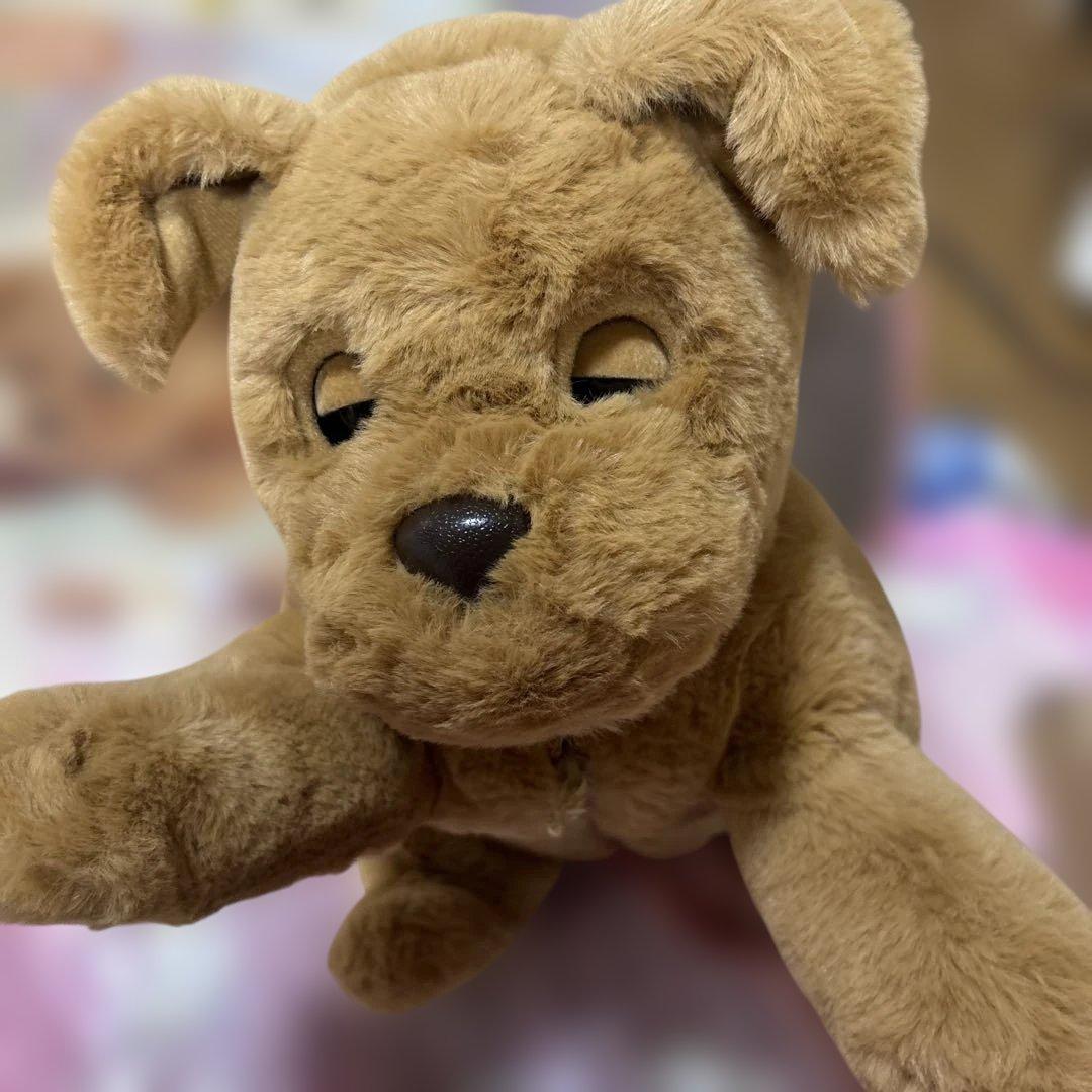 おしゃべりダッキー ココチモ ダッキースター　タカラトミー　美品　ほぼ未使用