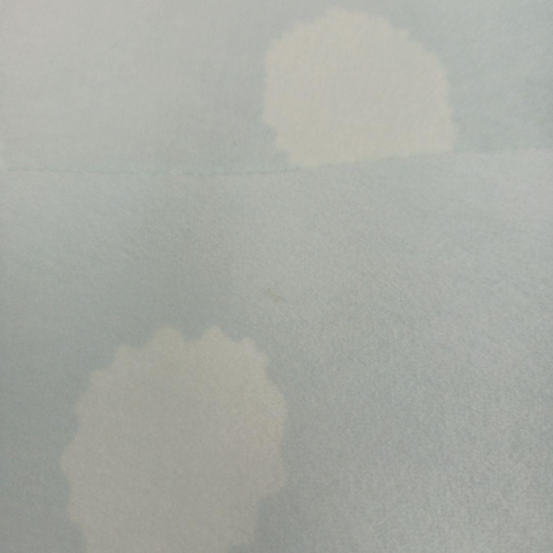 タグ付き　サンエックス　ジンベエさん　特大スーパーもーちもちぬいぐるみ　7th