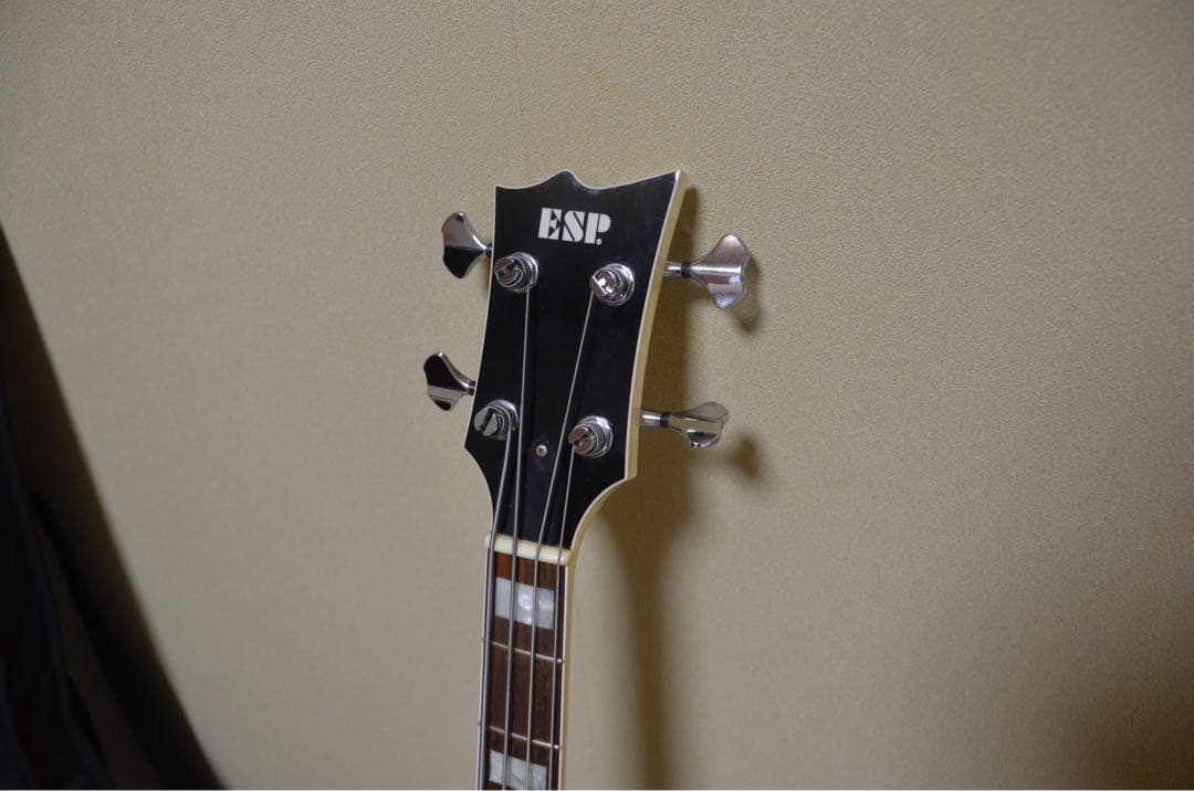 ESP 凛～Lynn～（SID明希）【交渉可】