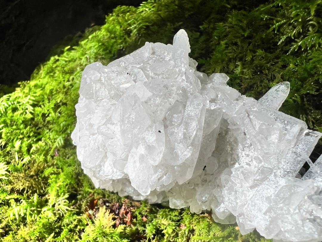 龍脈の精髄 クラスター 宮崎の山が授けた浄化と守護 売上一部保護猫活動に