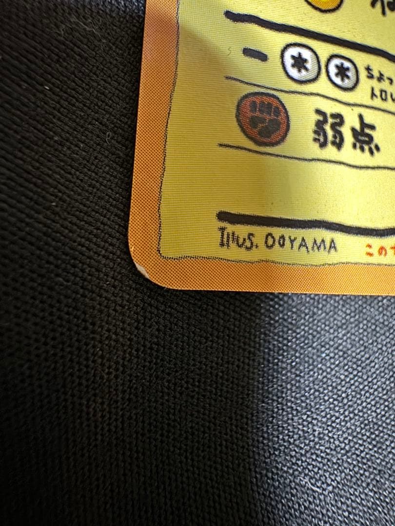 オーヤマのピカチュウ