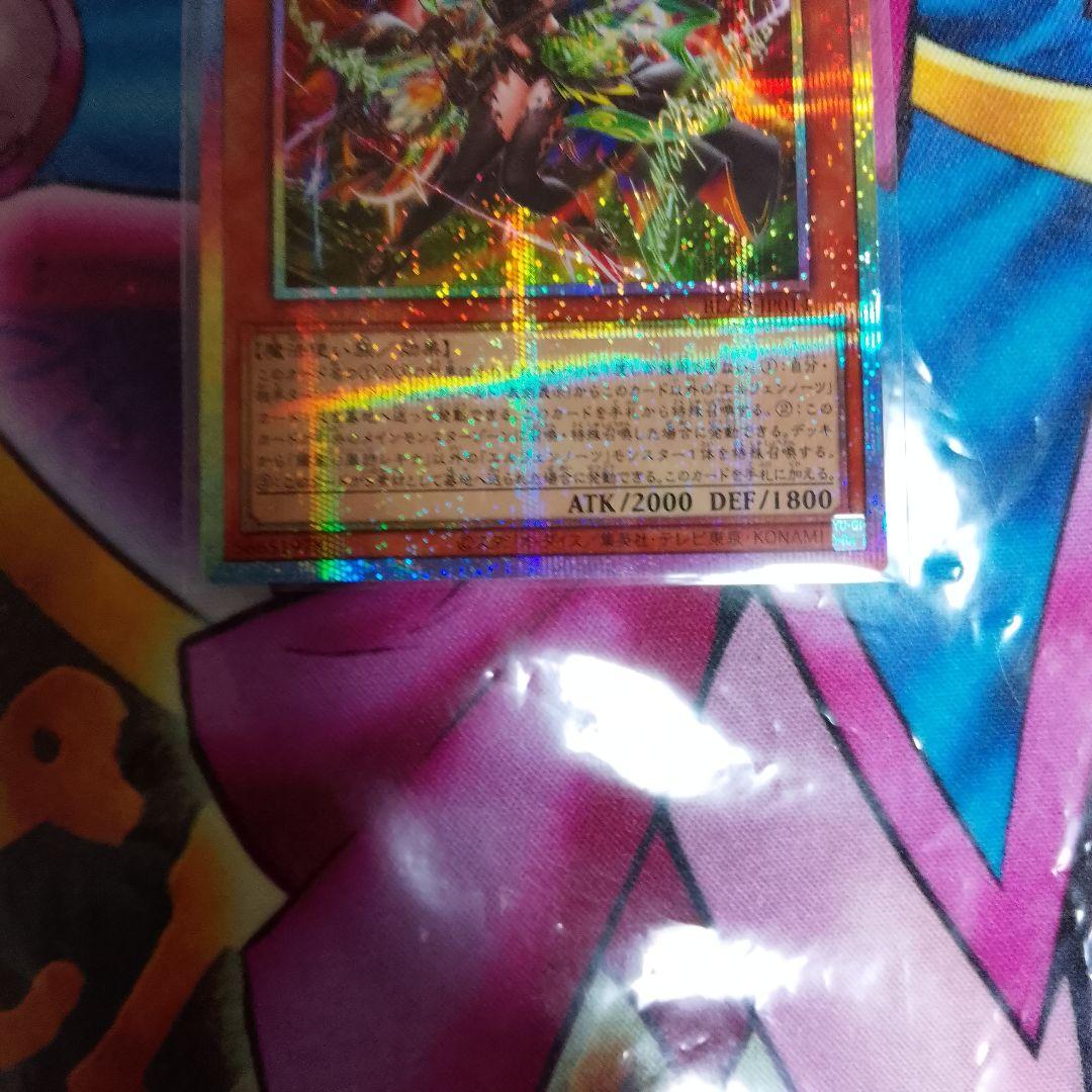 耀聖の風詩レギナ PSE プリシク オルフェンノーツ