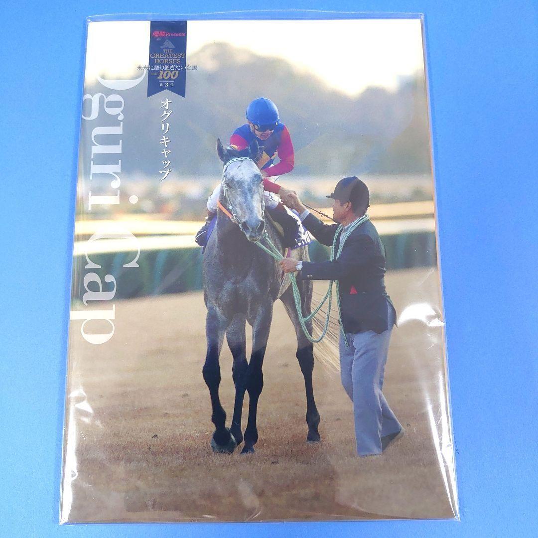 【稀少】オグリキャップ 競馬ぬいぐるみウマ娘 馬アイドルホースAVANTI優駿す