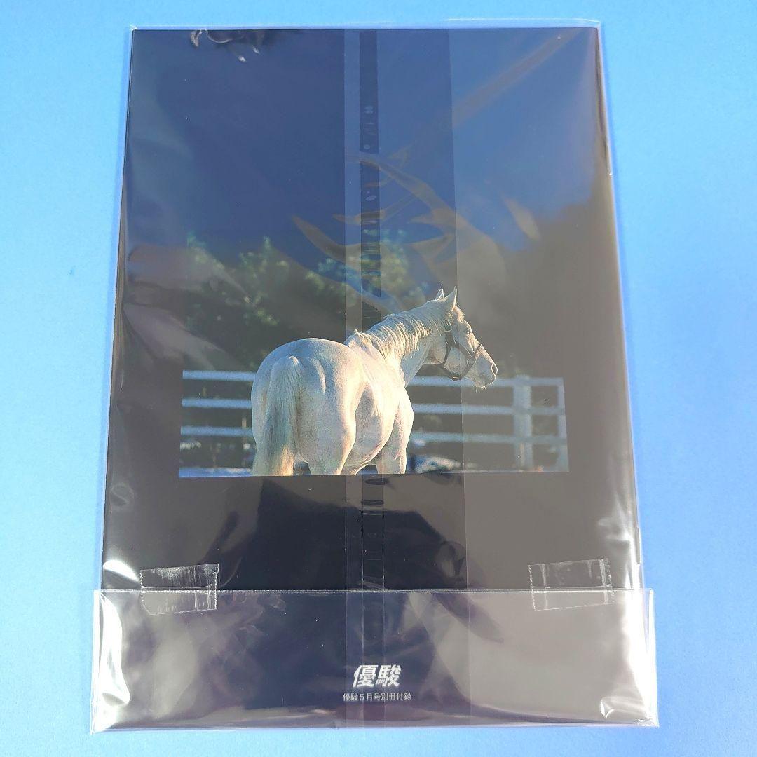 【稀少】オグリキャップ 競馬ぬいぐるみウマ娘 馬アイドルホースAVANTI優駿す