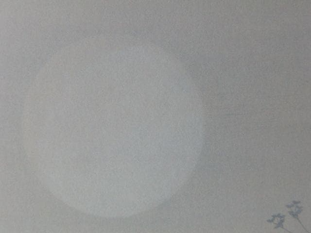 依田万実、【野うさぎ】、希少な額装用画集より、新品額装付、状態良好