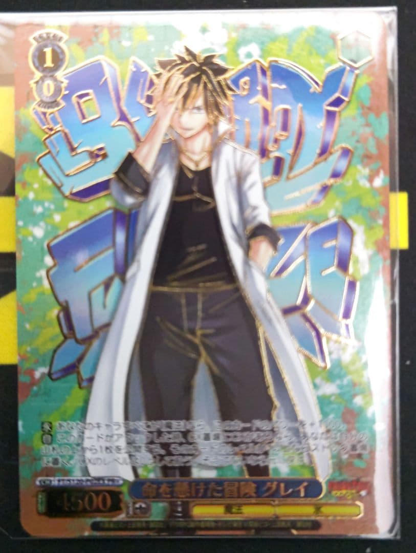 ヴァイス 命を懸けた冒険 グレイ PR+ 1枚