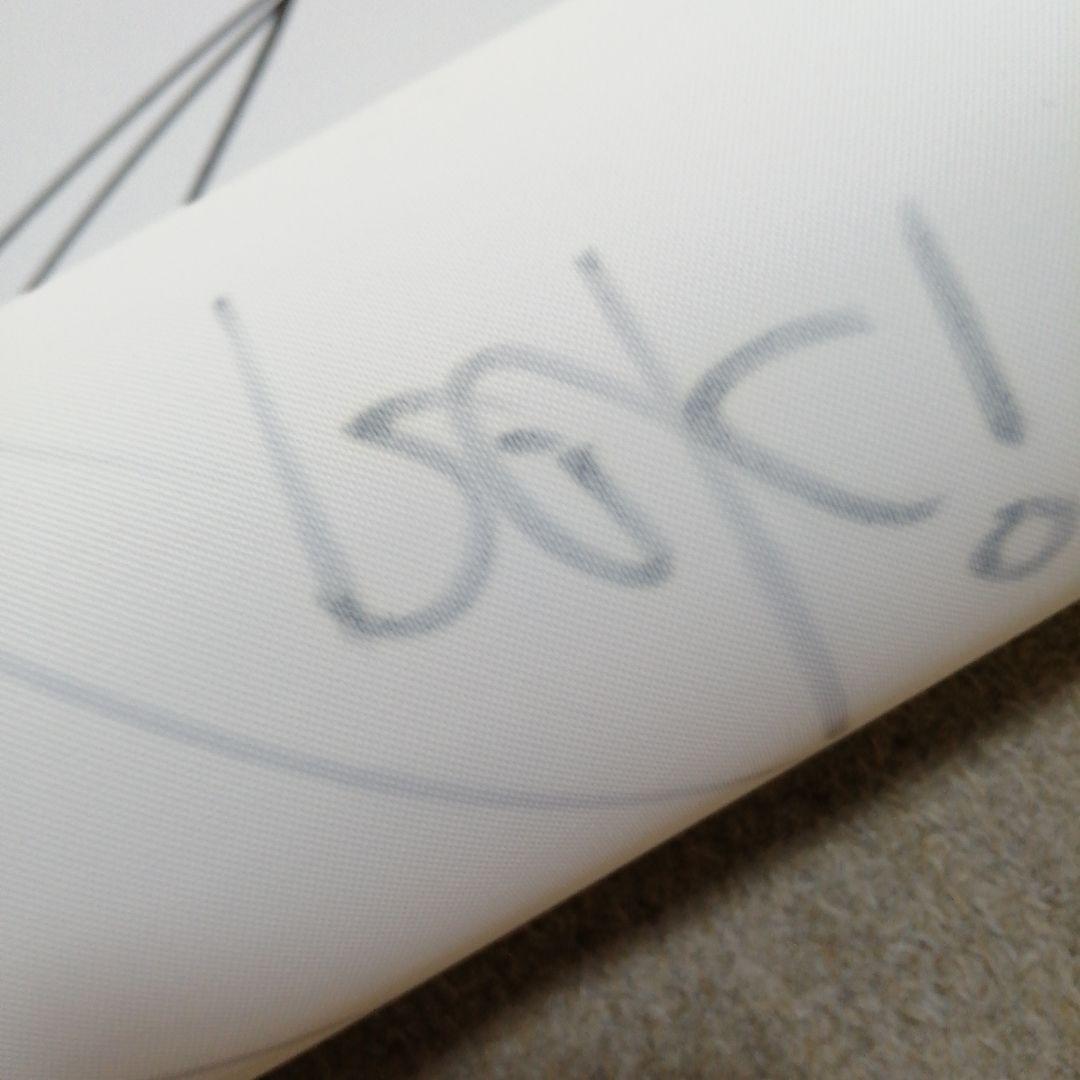 アクセル・ワールド　黒雪姫　ロングタペストリー　川原礫先生直筆サイン入り