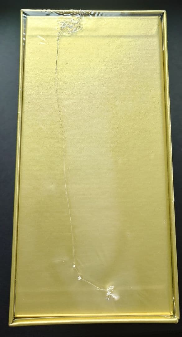 【未開封】25th ANNIVERSARY GOLDEN BOX ポケモンカード