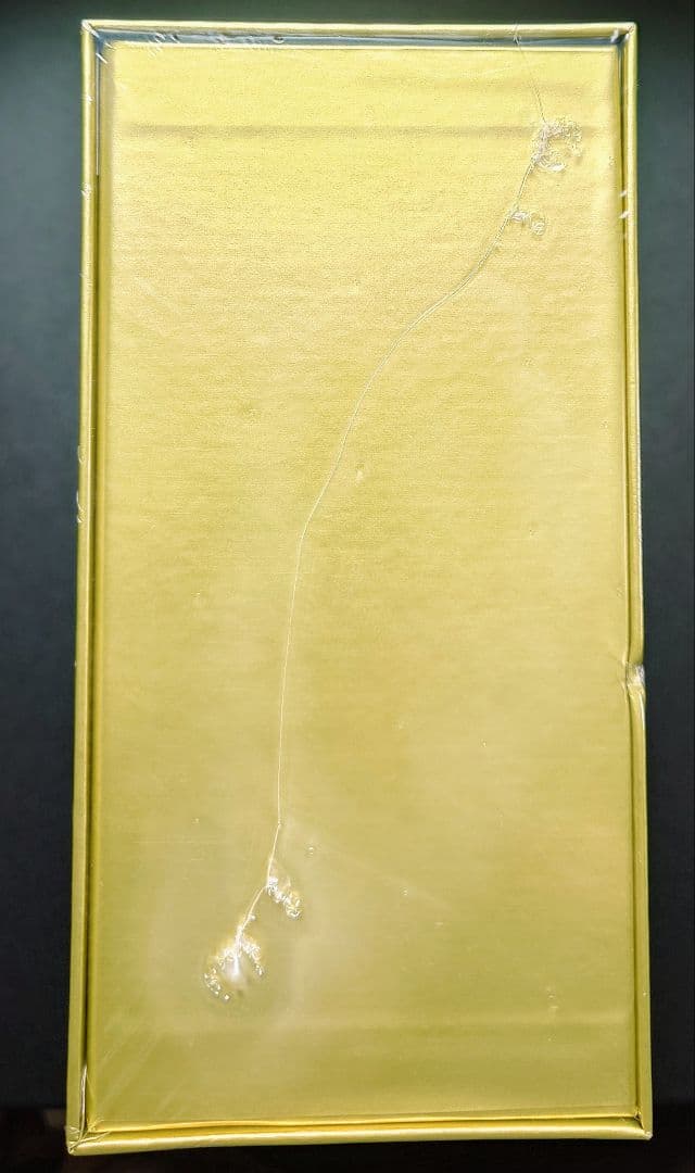 【未開封】25th ANNIVERSARY GOLDEN BOX ポケモンカード