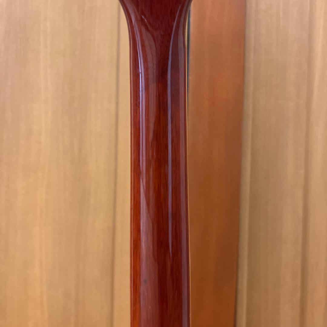 Blitz by Aria pro II Leopard 新品弦張替済