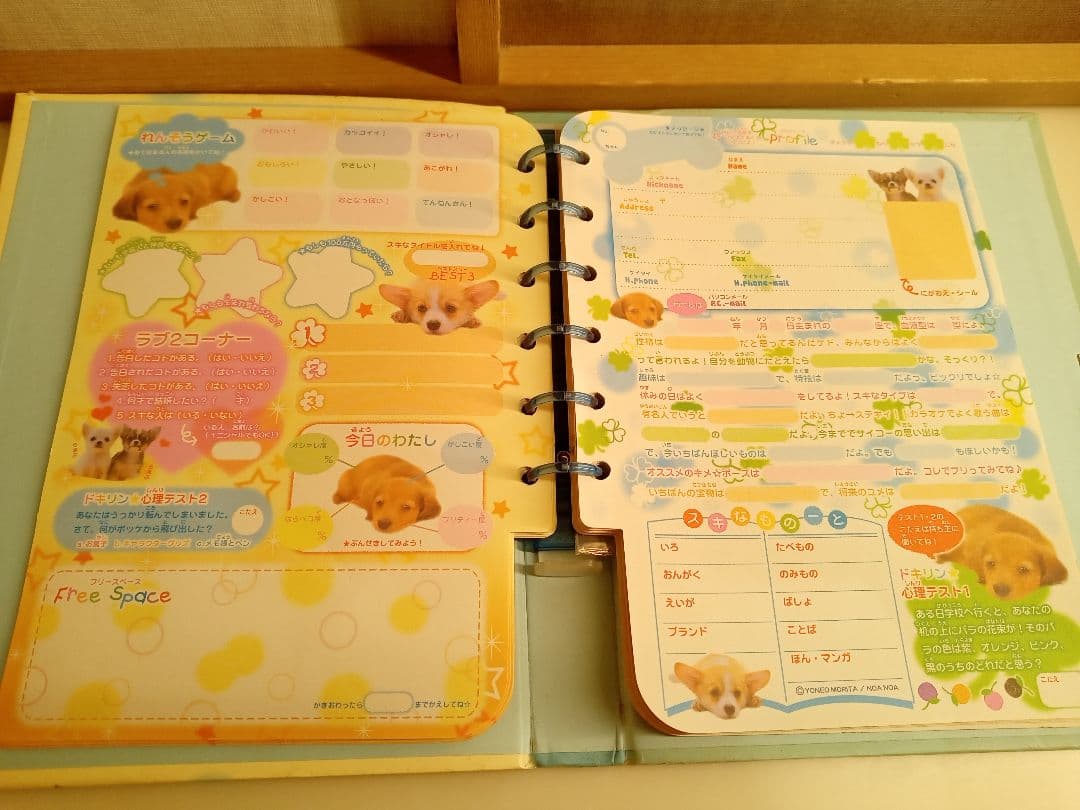 レア品!平成レトロ プロフィール帳 まとめ売りフワフワらびちゃんなど