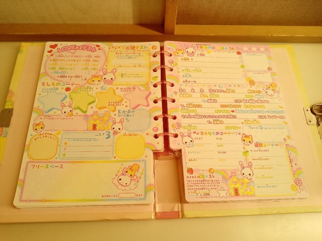 レア品!平成レトロ プロフィール帳 まとめ売りフワフワらびちゃんなど