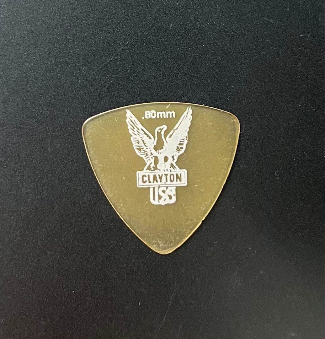 ELLEGARDEN MONOEYES 細美武士 ピック