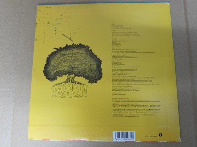 有名ヒット曲 ！10インチ レコード PUSHIM / FOREVER