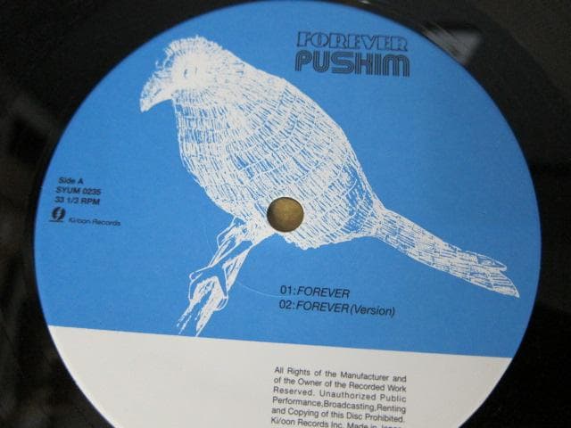 有名ヒット曲 ！10インチ レコード PUSHIM / FOREVER