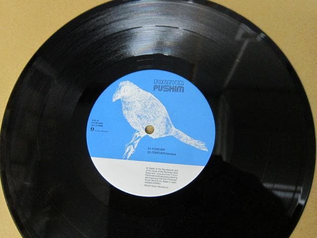 有名ヒット曲 ！10インチ レコード PUSHIM / FOREVER
