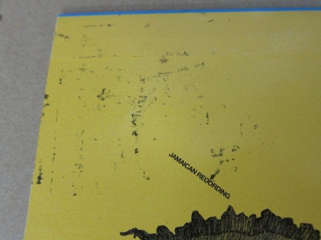 有名ヒット曲 ！10インチ レコード PUSHIM / FOREVER