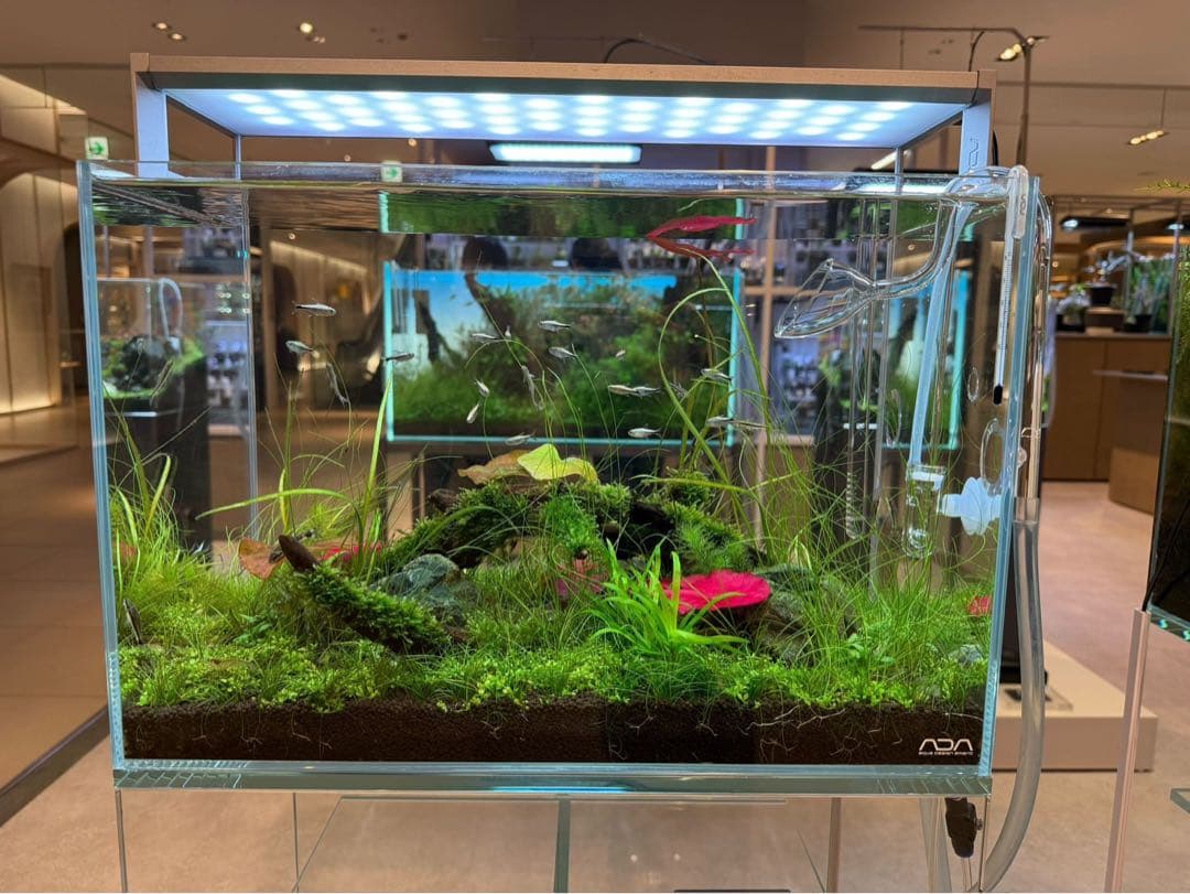 [ADA制作品] ADA アクアリウム 水槽 45cm セット