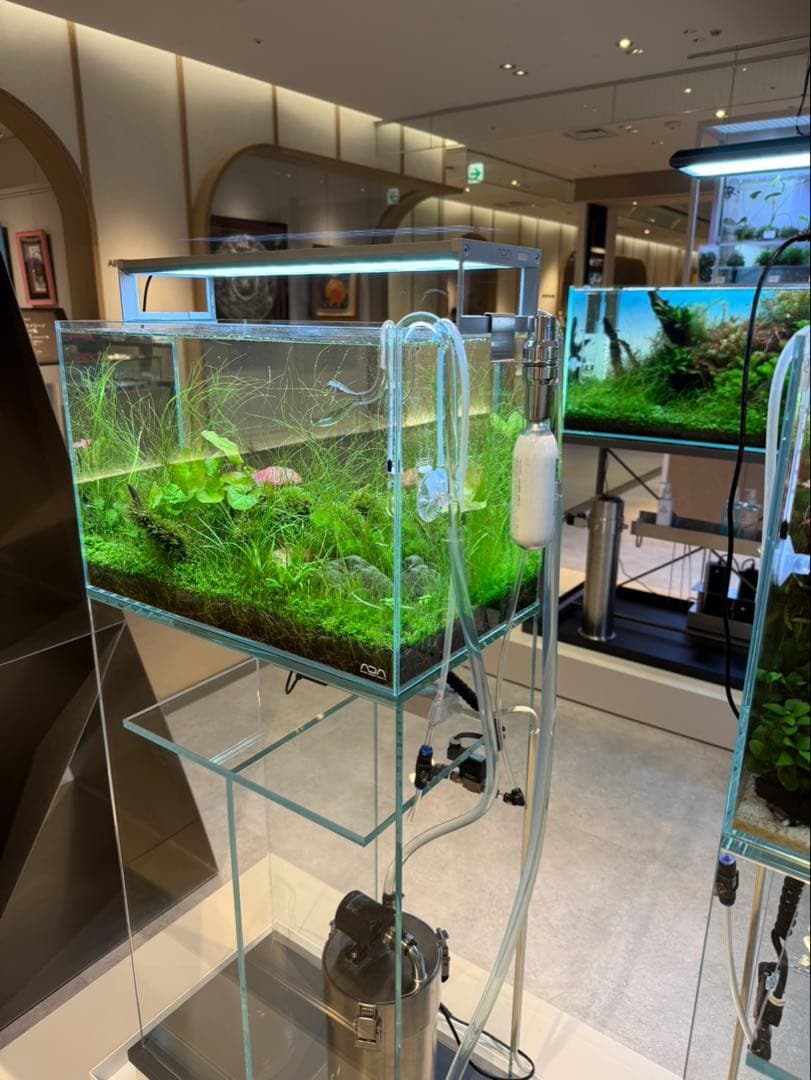 [ADA制作品] ADA アクアリウム 水槽 45cm セット