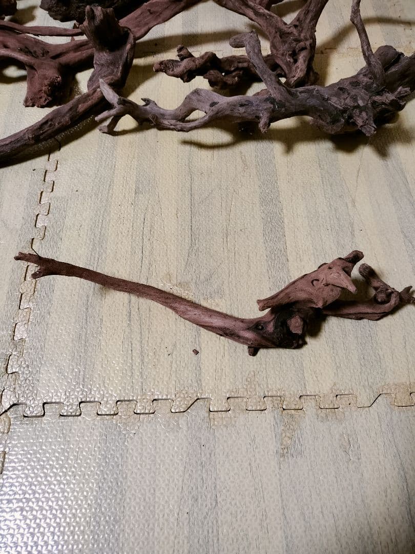 わ*ち様 水槽用流木 複数セット ホーンウッド ブランチウッド