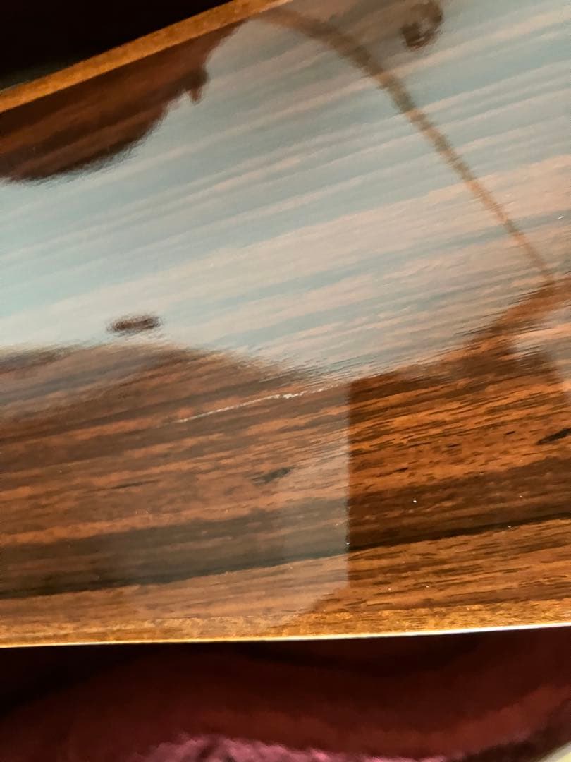 レア/希少　Martin DCPA 1 PLUS マーティン　縦ロゴ