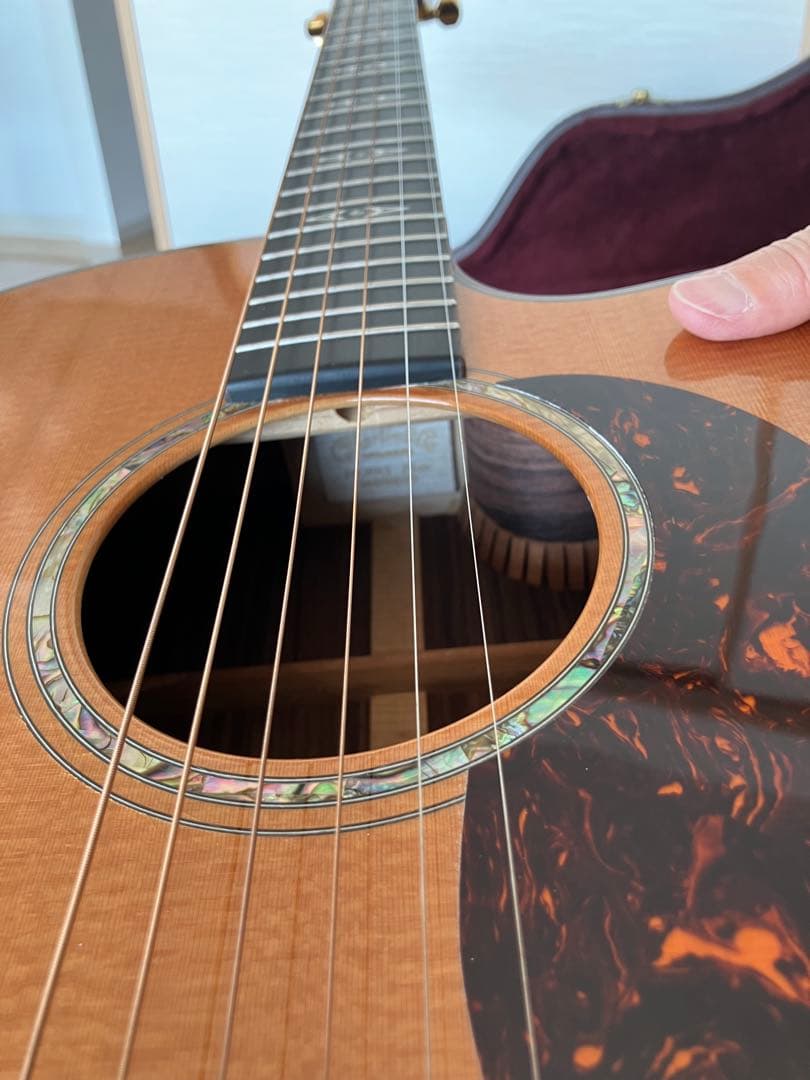 レア/希少　Martin DCPA 1 PLUS マーティン　縦ロゴ