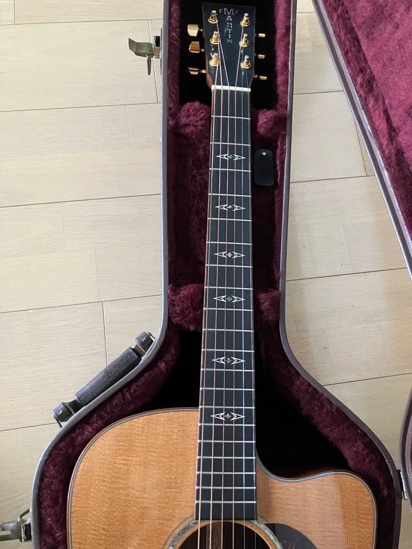 レア/希少　Martin DCPA 1 PLUS マーティン　縦ロゴ