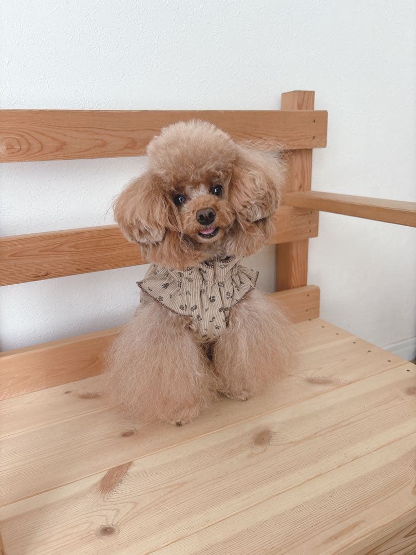 ハンドメイド　小花柄カムソンコーデュロイ　立ち襟バルーンチュニック