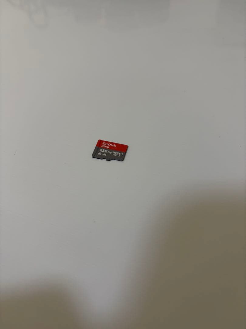 Nintendo Switch 本体セット（256GB SDカード・ケース付）