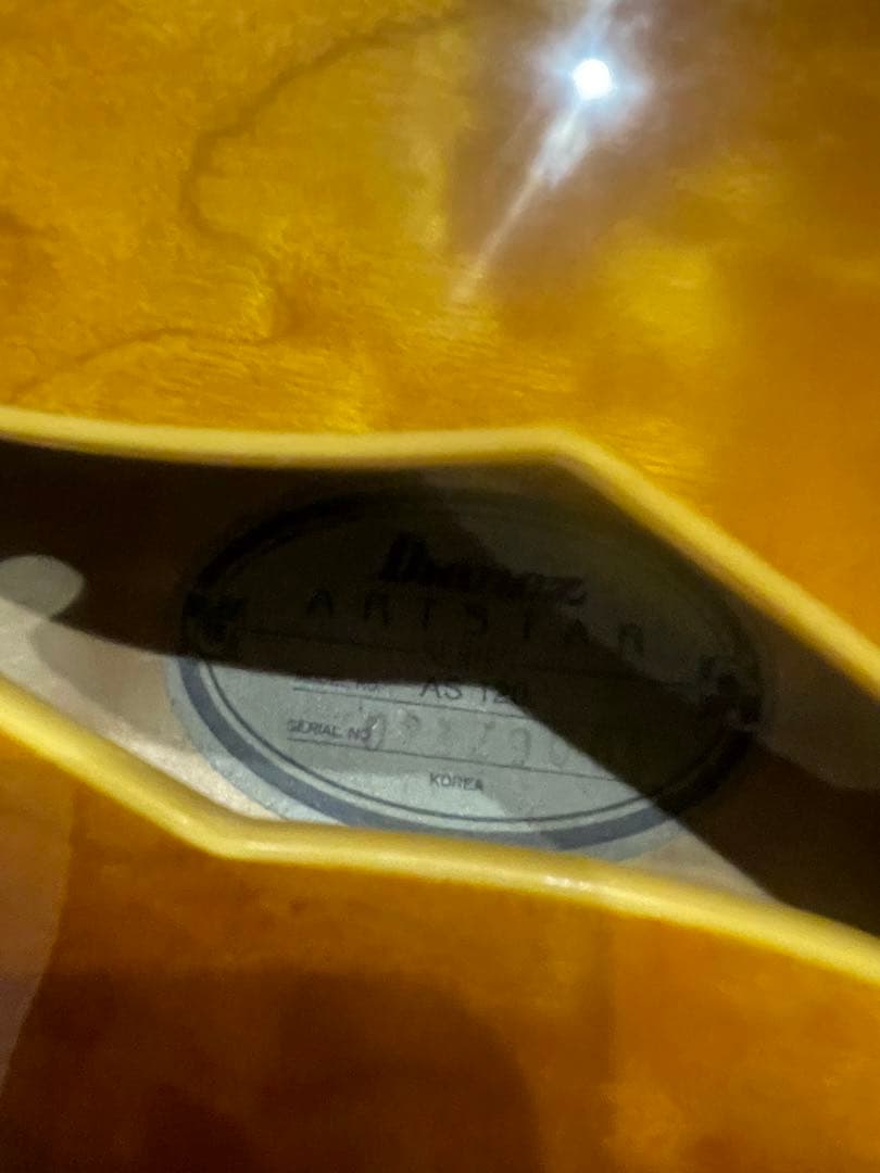 ibanez AS120 希少個体　純正ギグバッグ付属　アイバニーズ