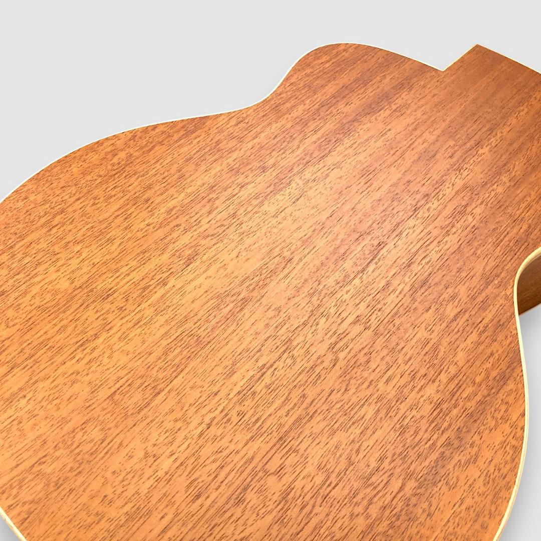 aNueNue aNN-MC10-LC アコースティックギター