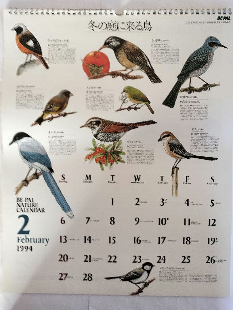 BE-PAL ビーパル カレンダー 新品未使用 1994年 ヴィンテージ